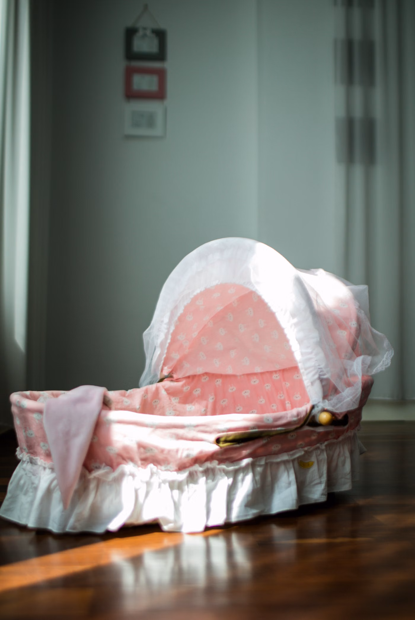 Cibinlikli Pembe Beşik - 1